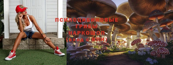 ALPHA PVP Арсеньев