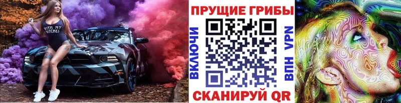 продажа наркотиков  Хадыженск  Псилоцибиновые грибы GOLDEN TEACHER 